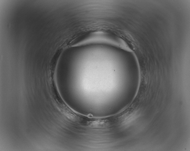 X0000074220366200608251135