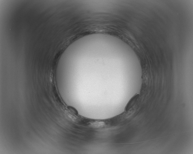 X0000074220374200608251135