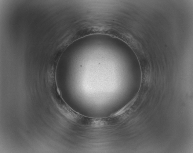 X0000074220376200608251135