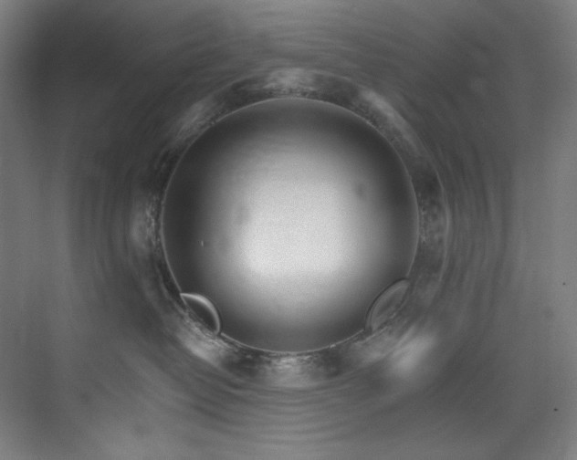 X0000074220382200608251135