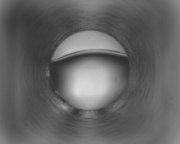 X0000074220384200608251135