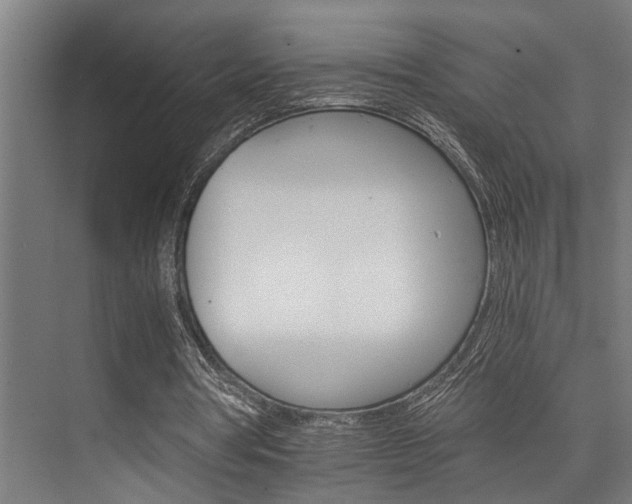 X0000074220386200608251134
