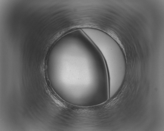 X0000074220389200608251134
