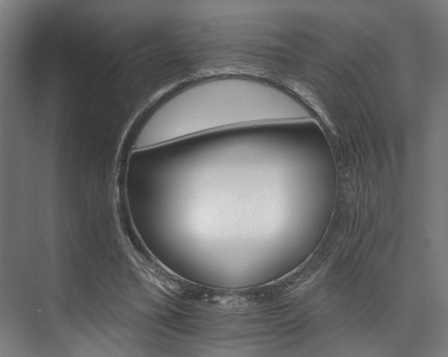 X0000074220395200608251134