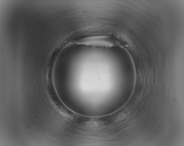 X0000074220404200608251134