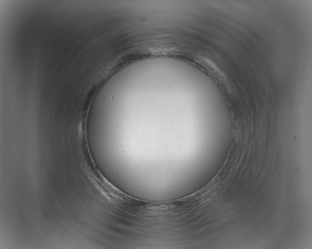 X0000074220405200608251134