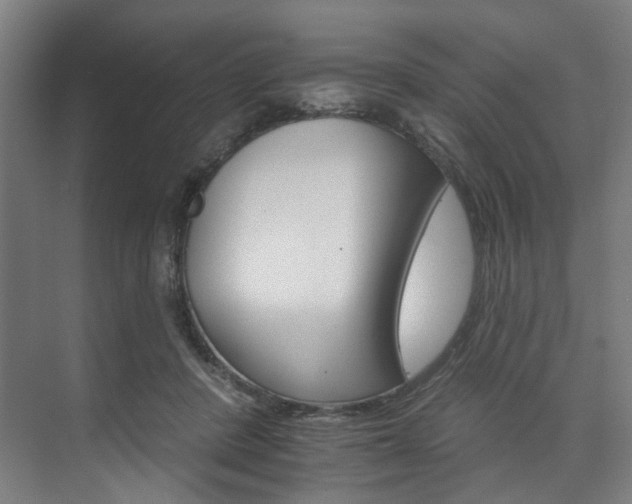 X0000074220408200608251134