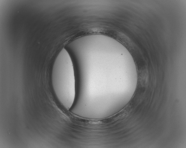 X0000074220410200608251134