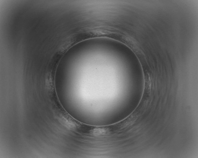 X0000074220418200608251134