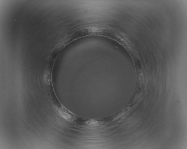 X0000074220419200608251134