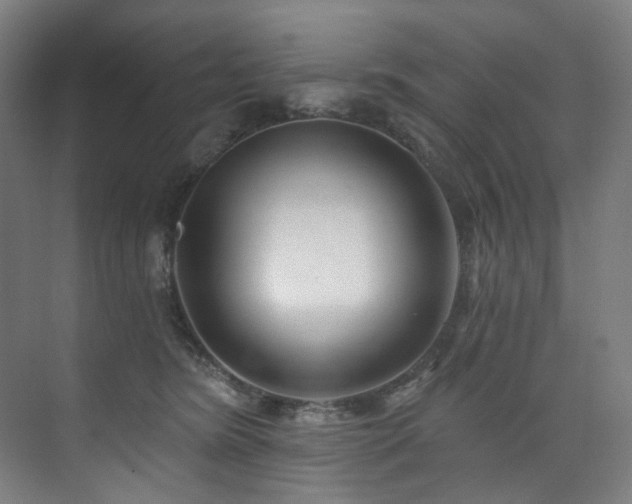 X0000074220420200608251134
