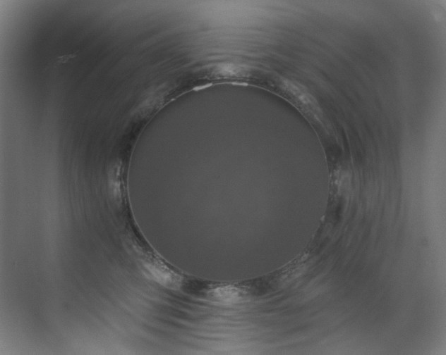 X0000074220423200608251134