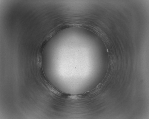 X0000074220425200608251134