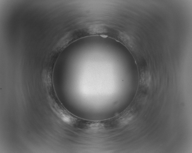 X0000074220426200608251134