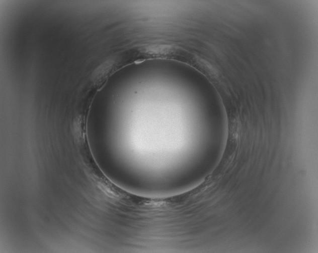 X0000074220428200608251134