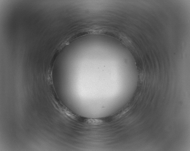 X0000074220429200608251134