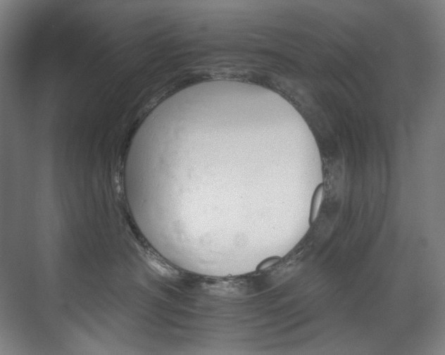X0000074220430200608251134