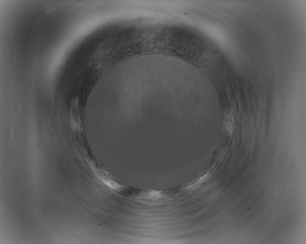 X0000074220431200608251134