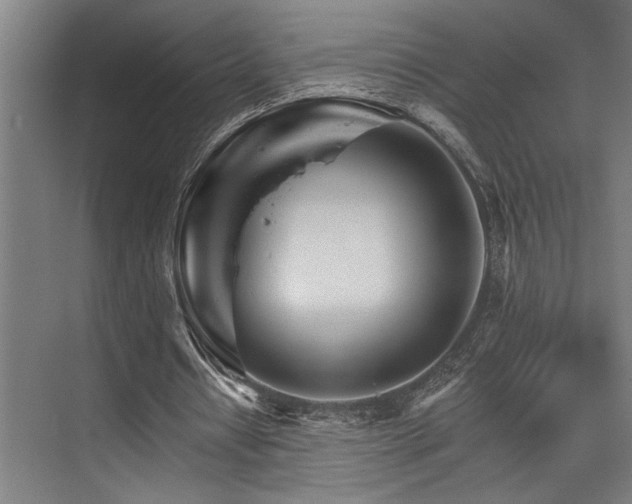 X0000074220434200608251133