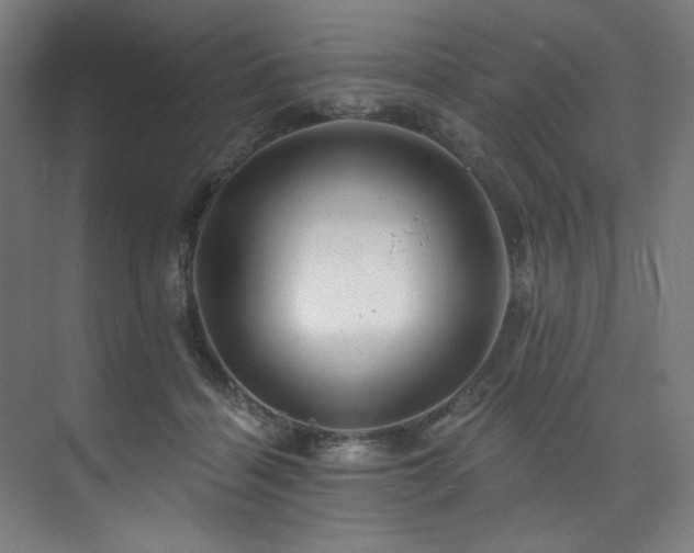 X0000074220460200608251133
