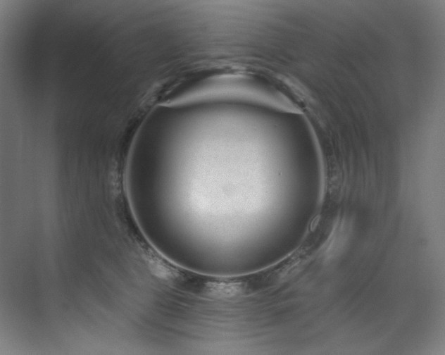X0000074220469200608251133