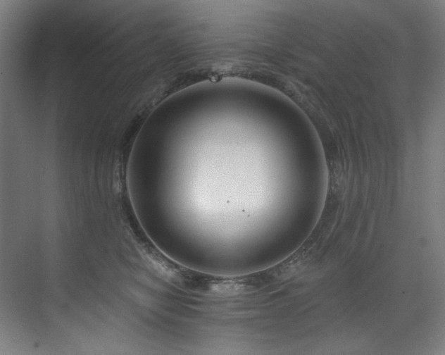 X0000074220470200608251133