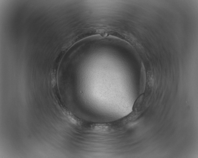 X0000074220471200608251133