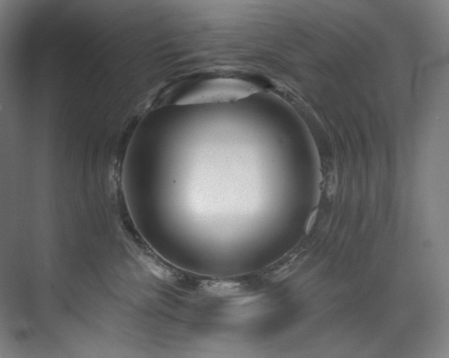 X0000074220476200608251133