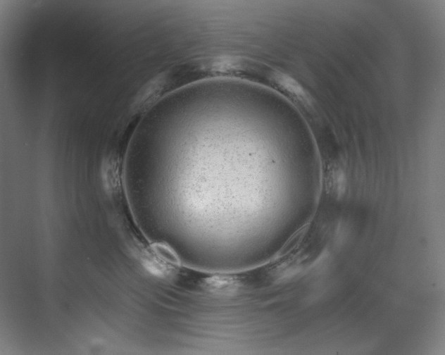 X0000074220477200608251133