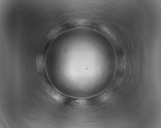 X0000074220478200608251133