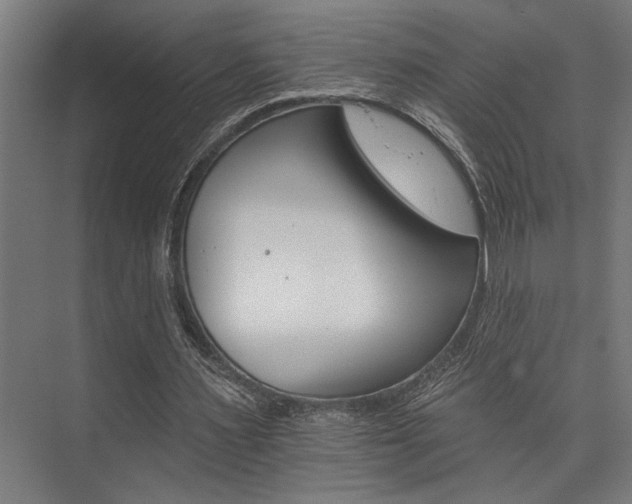 X0000074220483200608251133