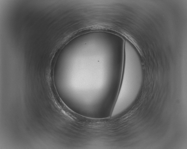 X0000074220485200608251133