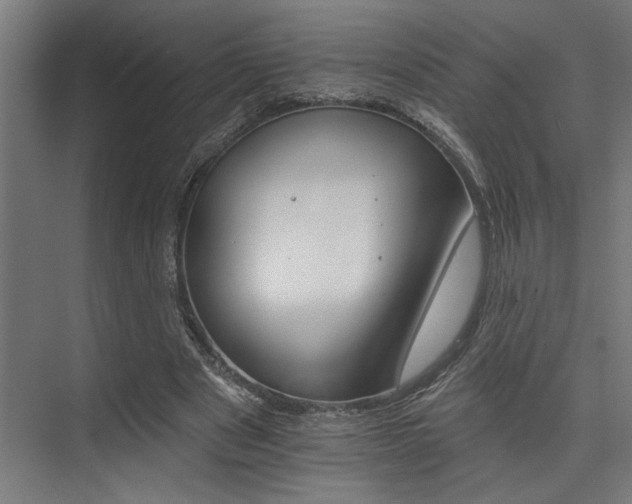 X0000074220489200608251133