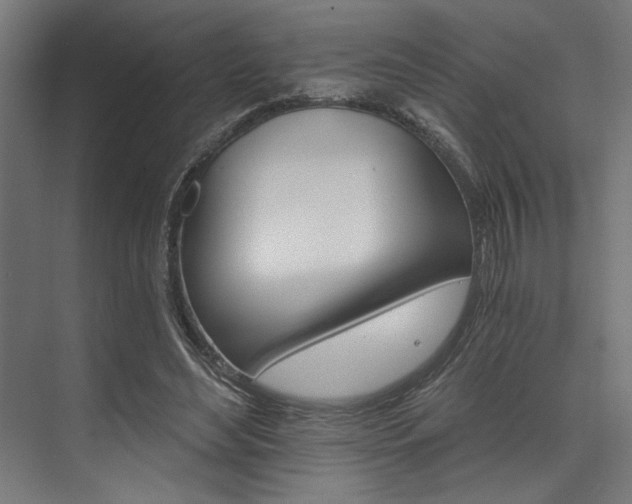 X0000074220492200608251133
