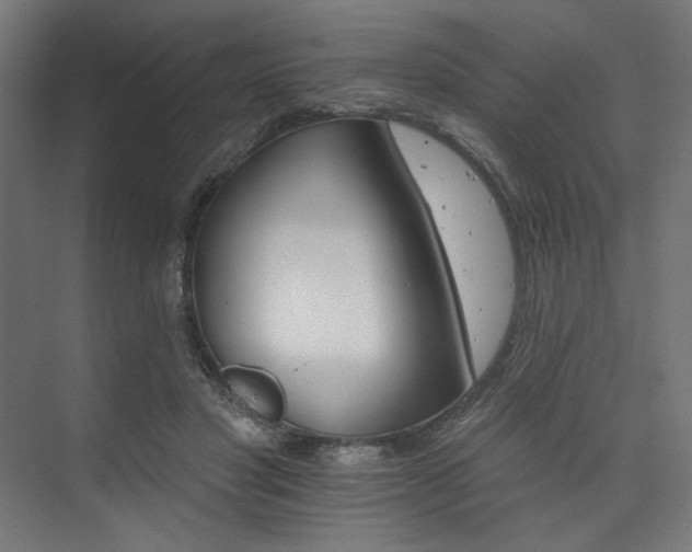 X0000074220501200608251132