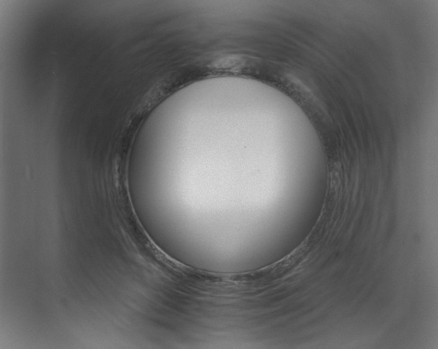X0000074220504200608251132