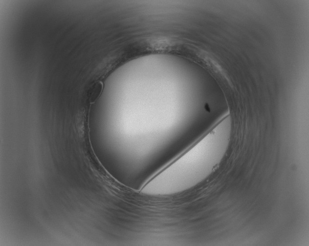 X0000074220505200608251132