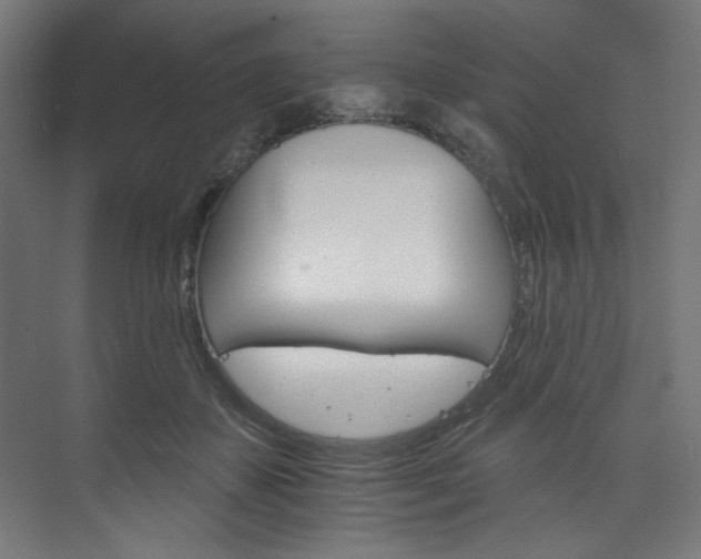 X0000074220507200608251132