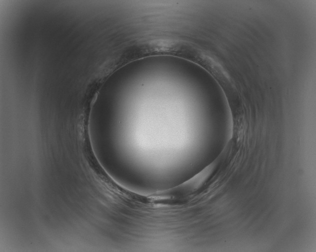 X0000074220509200608251132