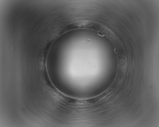 X0000074220510200608251132