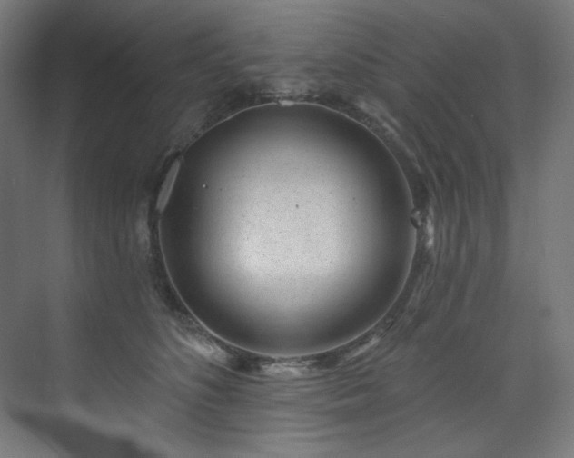 X0000074220516200608251132