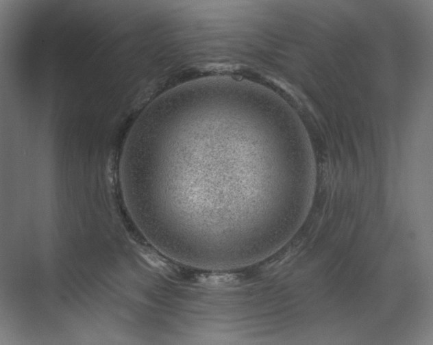 X0000074220517200608251132