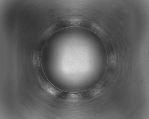 X0000074220522200608251132