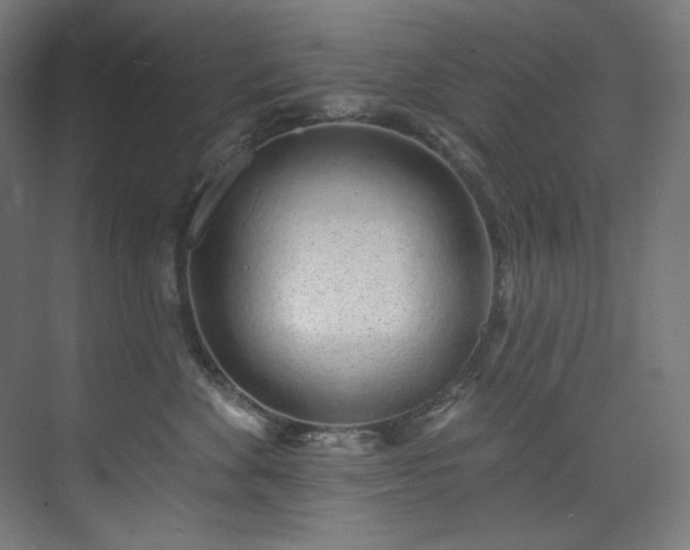 X0000074220524200608251132