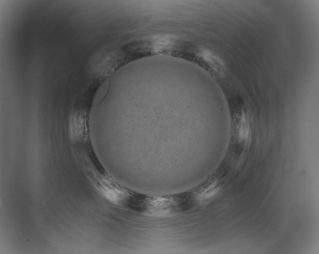 X0000074220527200608251132