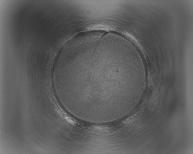 X0000074220529200608251131
