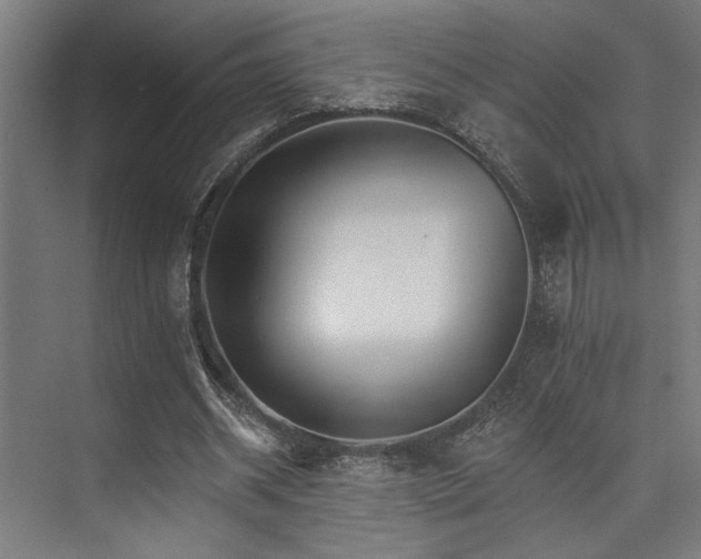 X0000074220534200608251131