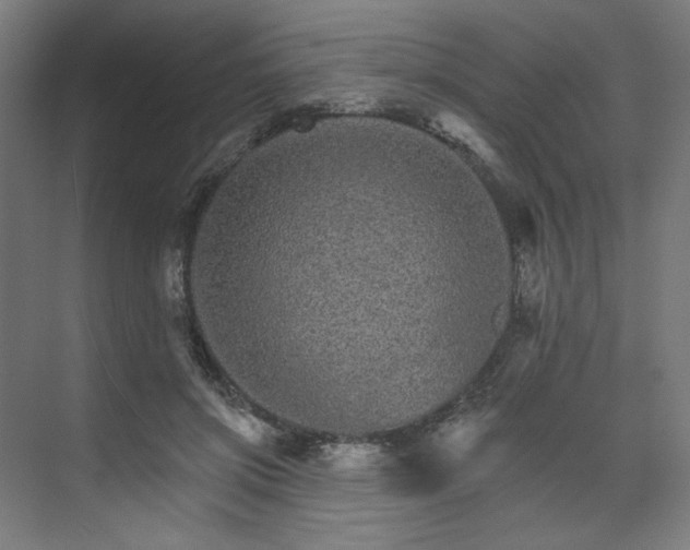 X0000074220549200608251131