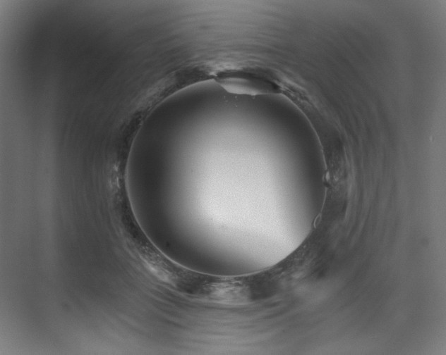 X0000074220555200608251132