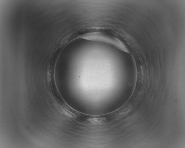 X0000074220558200608251132